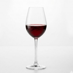 VICRILA Verre DEGUSTACIÓN 30 cl. - Image 2