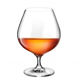 GIONA PREMIUM GLASS Verre BRANDY 660 ml. - Image 2