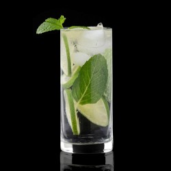 GIONA PREMIUM GLASS Verre HIGHBALL 440 ml. - Image 2