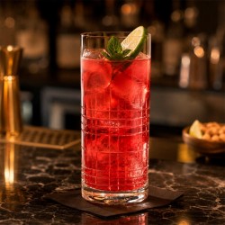 GIONA PREMIUM GLASS Verre HIGHBALL TALLADO 440 ml. - Image 3