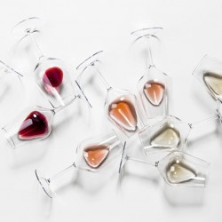 GIONA Verre Event 47 cl. Transparent - Image 5