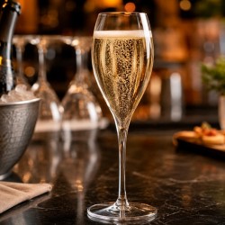 BLANCA Verre GOLD 18 cl. Transparent - Image 3