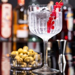 BLANCA Verre MILANO GIN 55 cl. Transparent - Image 2