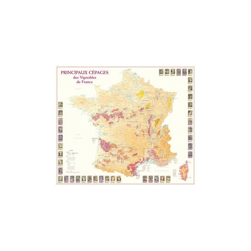 Benoit France Editions Carte des Principaux Cépages des Vignobles de France n°15